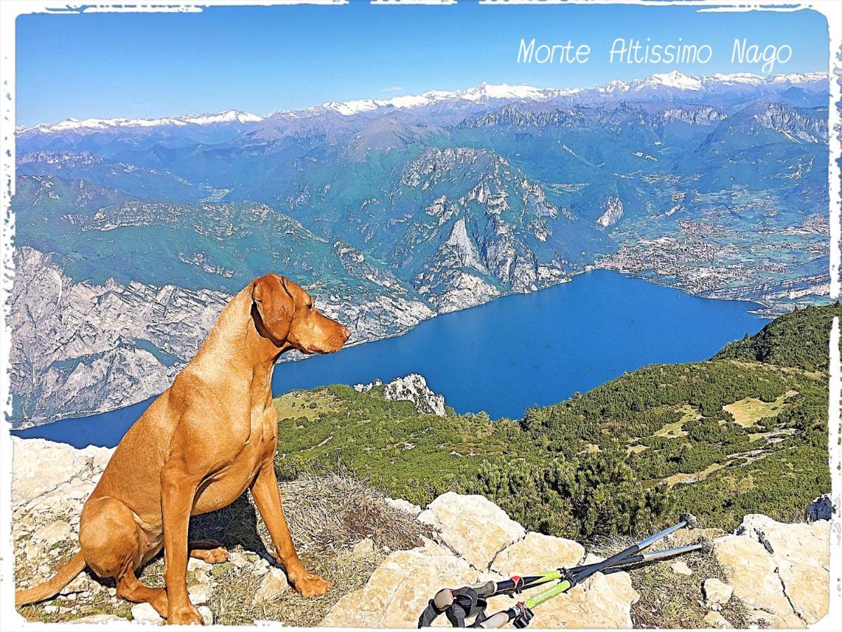 Viewlake Apartment Torbole Sul Garda Kültér fotó